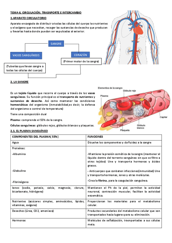 Miniatura del documento TEMA-6.pdf