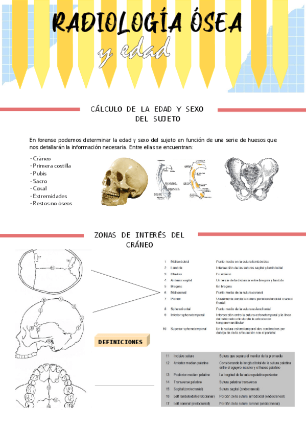 Miniatura del documento RADIOLOGIA-OSEA.pdf