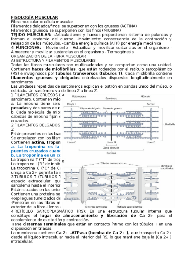 Miniatura del documento RESUMEN-FISIOLOGIA-OSEA-copia.docx