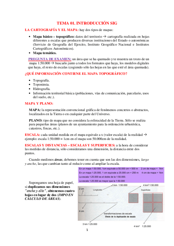 Miniatura del documento TEMA 01.pdf