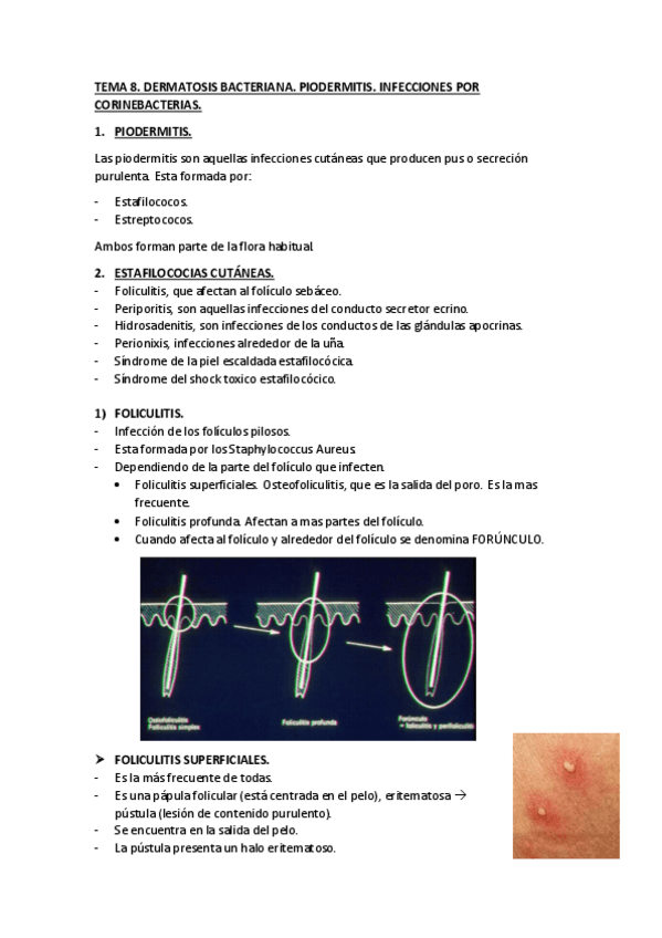 Miniatura del documento TEMA-8.pdf