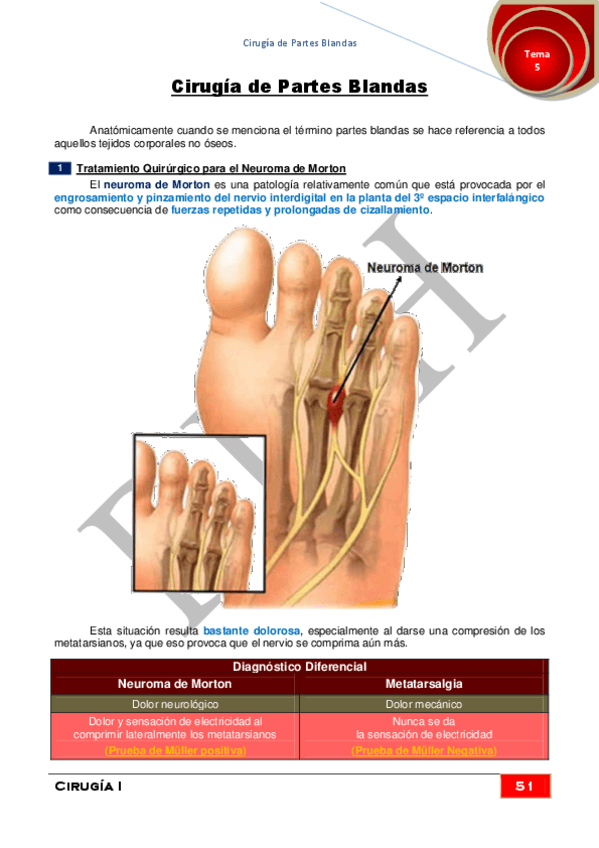 Miniatura del documento 5.pdf