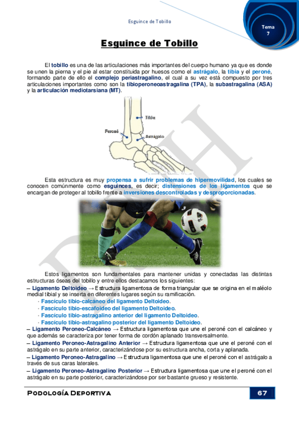 Miniatura del documento 7.pdf