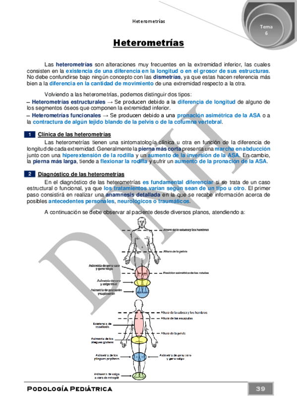 Miniatura del documento 6.pdf