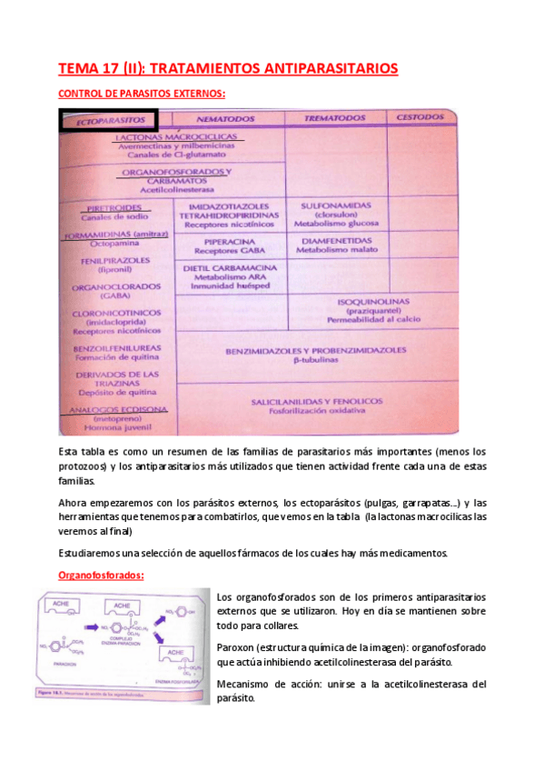 Miniatura del documento TEMA-17-II.pdf