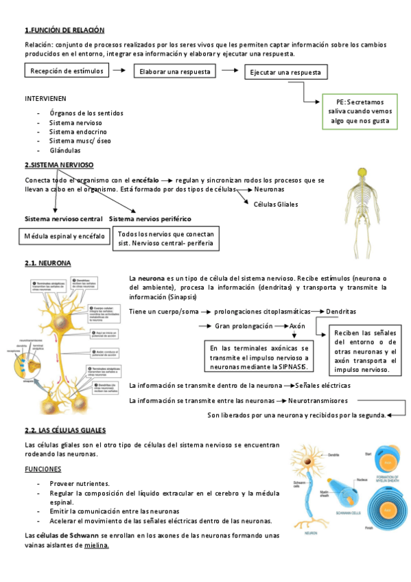 Miniatura del documento TEMA-8-COMUNICACION-CONTROL-E-INTEGRACION.pdf