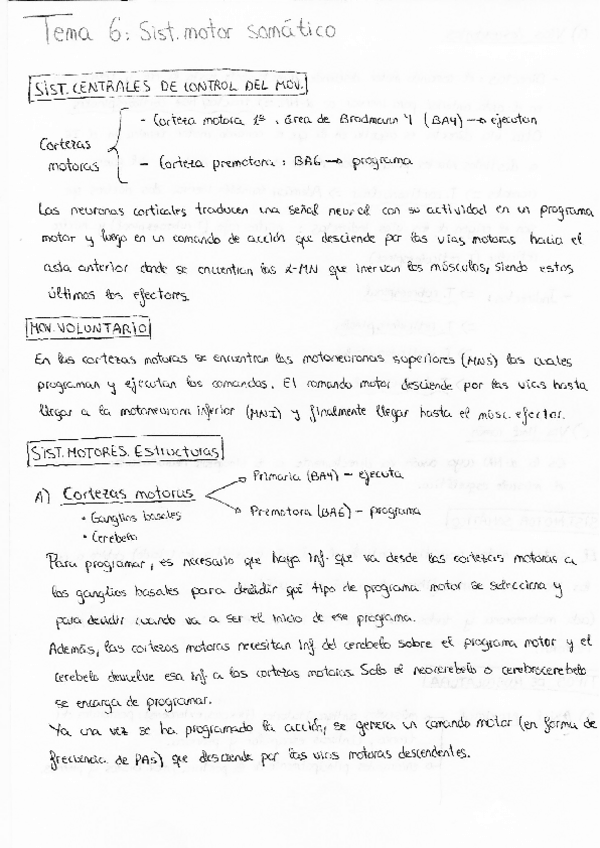 Miniatura del documento NEUROFISIOLOGIA-T6.pdf