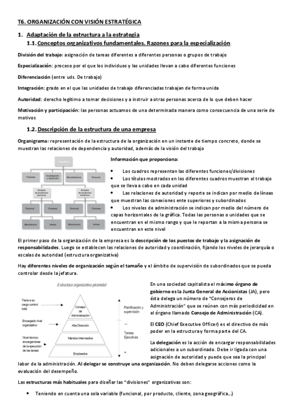 Miniatura del documento T6-Organizacion-con-vision-estrategica.pdf