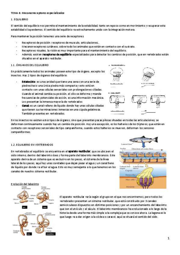 Miniatura del documento FAI-Tema-8.pdf