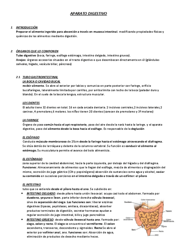 Miniatura del documento APARATO-DIGESTIVO.pdf