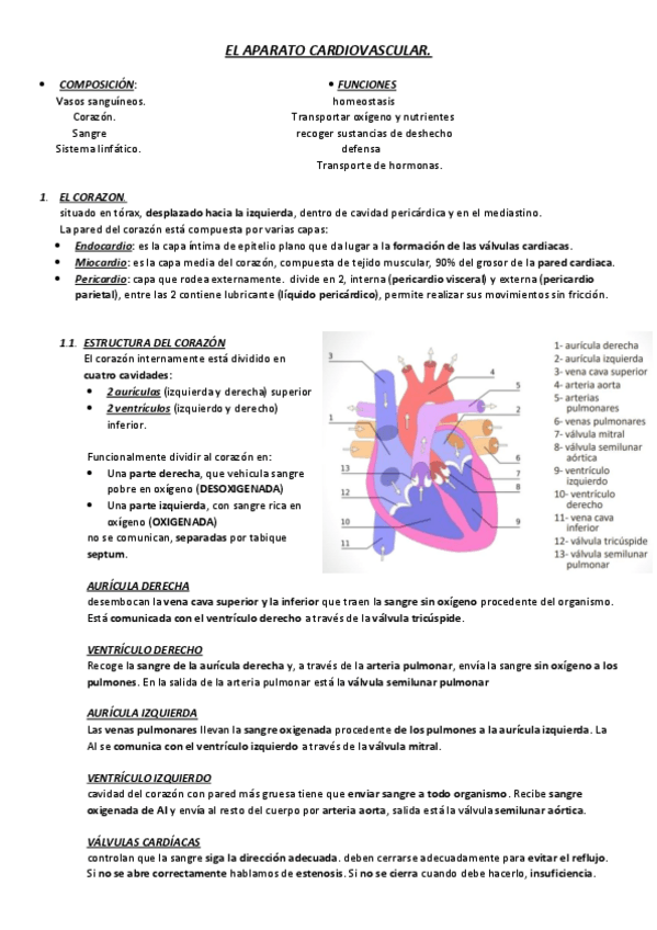 Miniatura del documento aparato-cardiovascular.pdf
