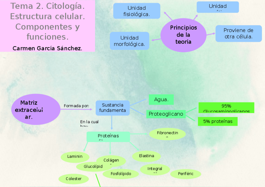 Miniatura del documento mapa-conceptual-tema-2.docx