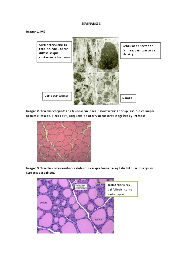Miniatura del documento SEMINARIO-6.pdf