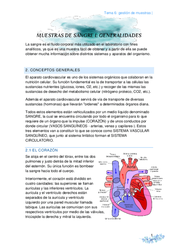 Miniatura del documento tema-6-generalidades-de-la-sangre.pdf
