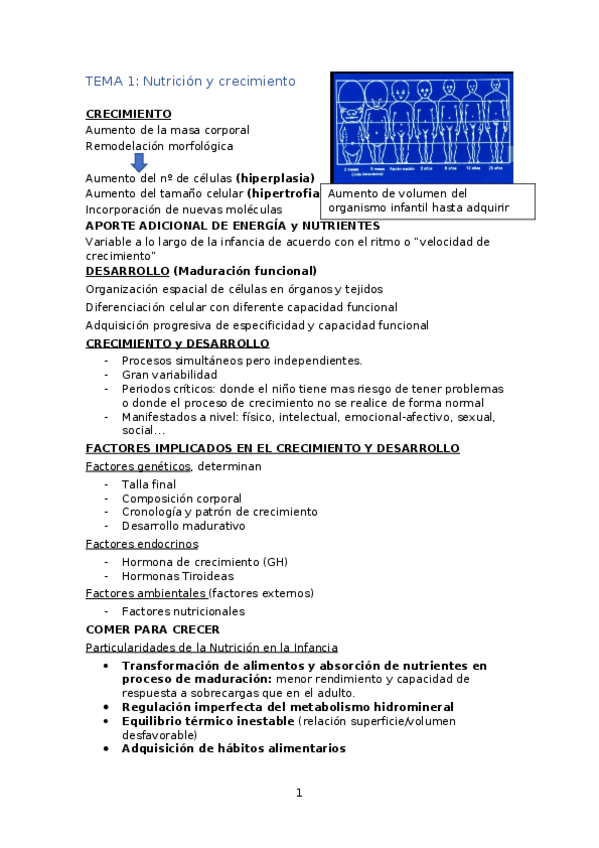 Miniatura del documento TEMA-1.docx