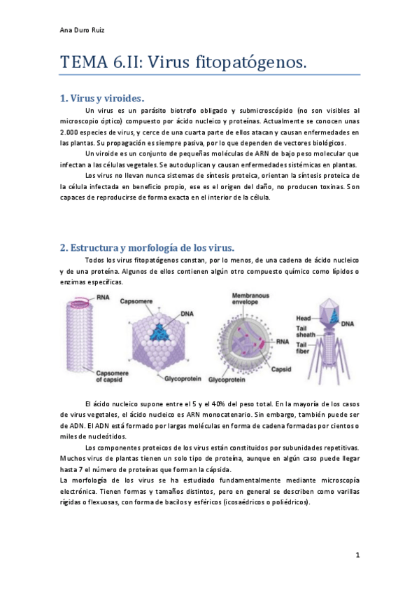 Miniatura del documento Tema-6.pdf