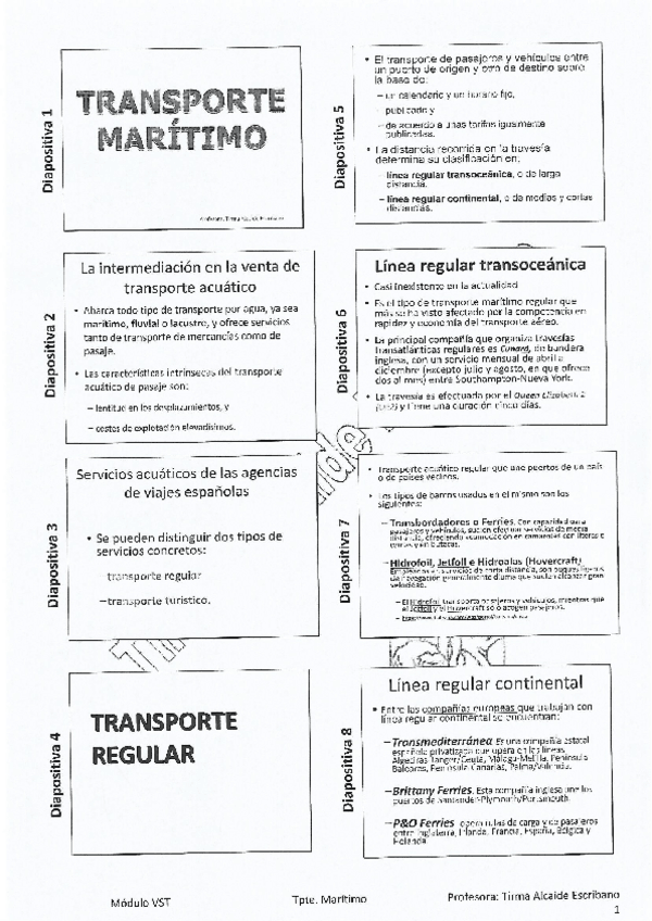 Miniatura del documento TRANSPORTE-MARITIMO.pdf