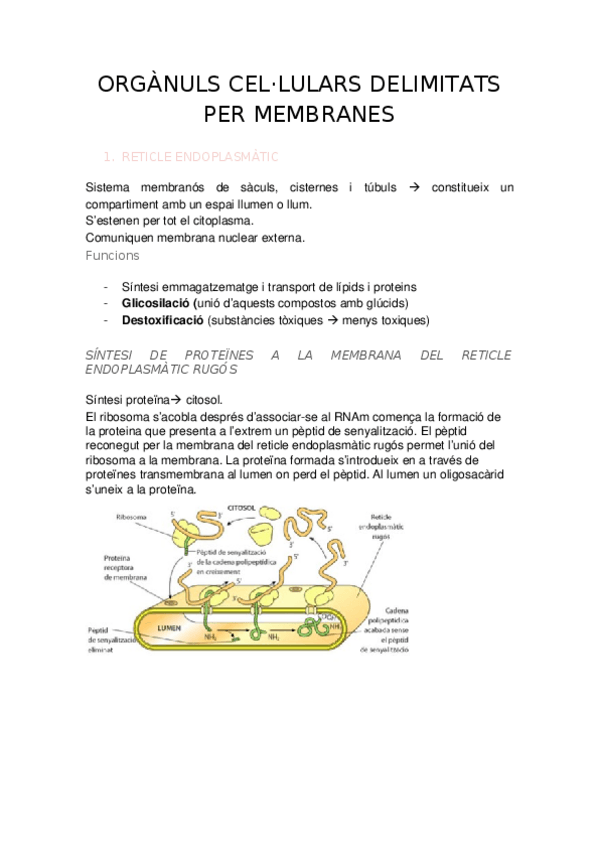 Miniatura del documento RESUM-TEMA-8-BIOLOGIA.docx