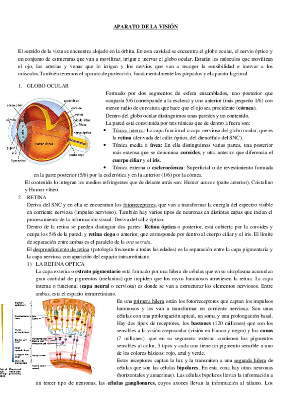 Miniatura del documento TEMA-20.docx