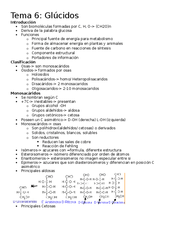 Miniatura del documento Tema-6.docx