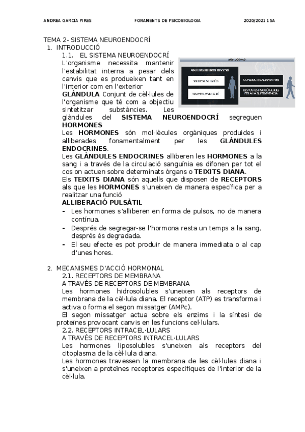 Miniatura del documento TEMA-2-NEUROENDOCRINOLOGIA.docx