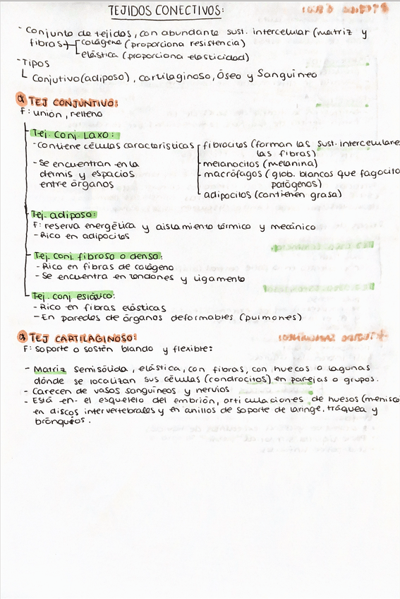 Miniatura del documento tejido-animal-lll.png