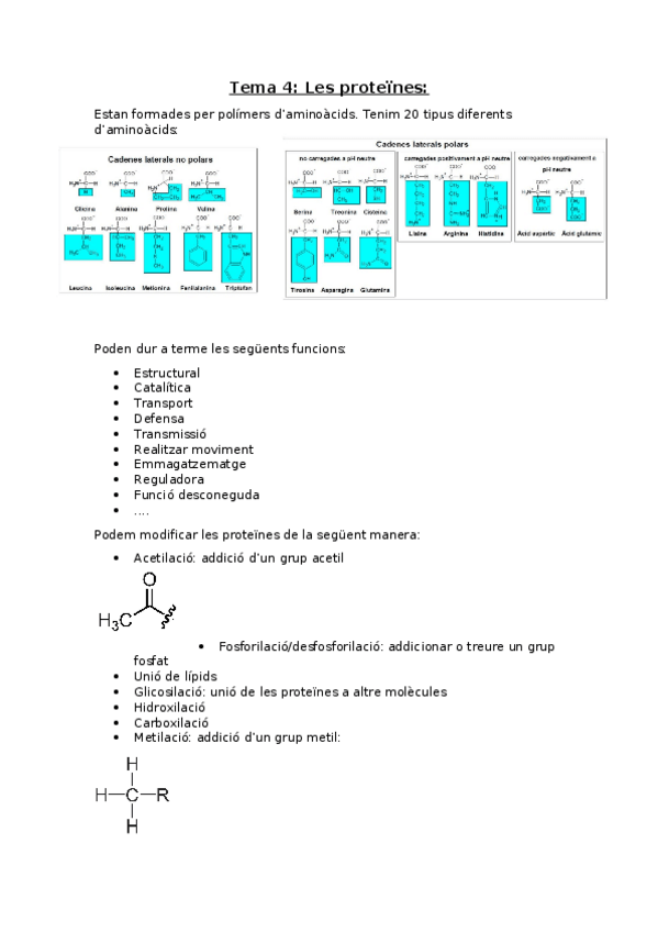 Miniatura del documento Bioquimica-Tema-4-Les-proteines.docx