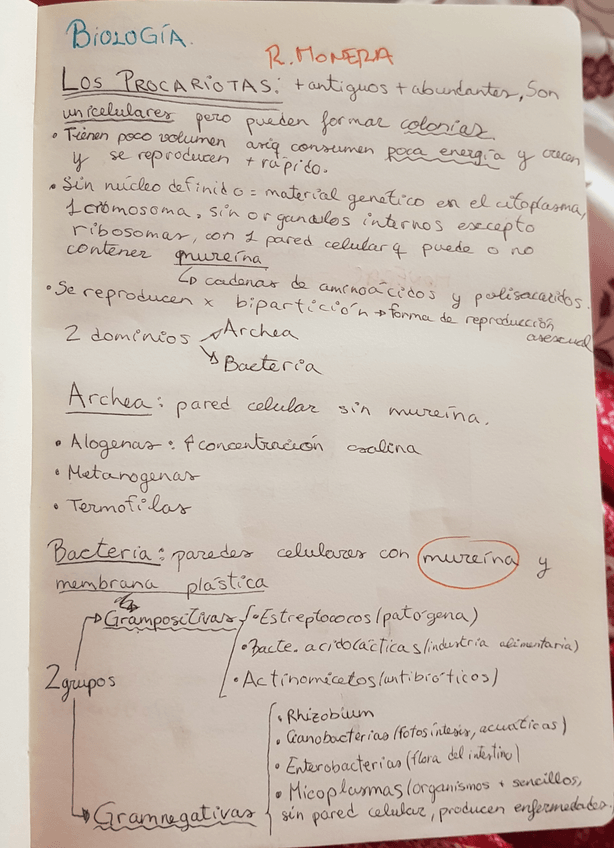 Miniatura del documento 20210127091323.jpg