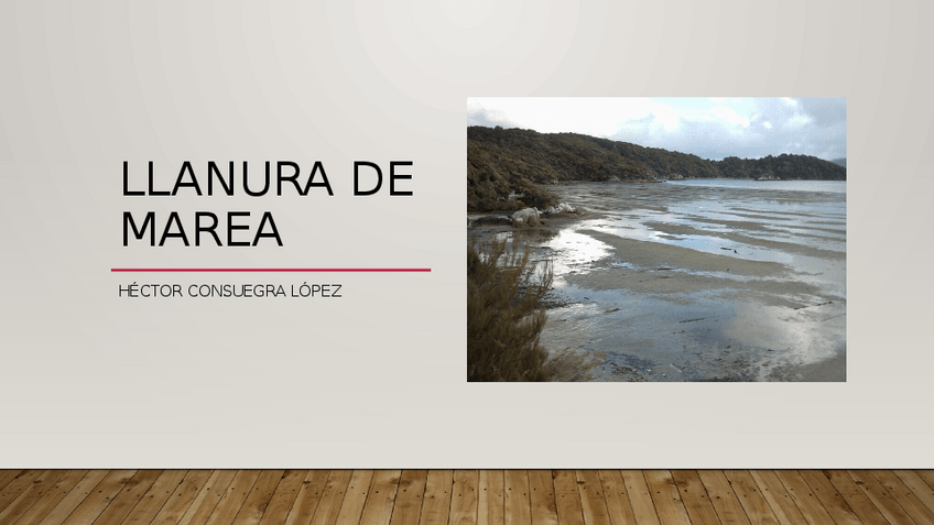 Miniatura del documento 2.pptx