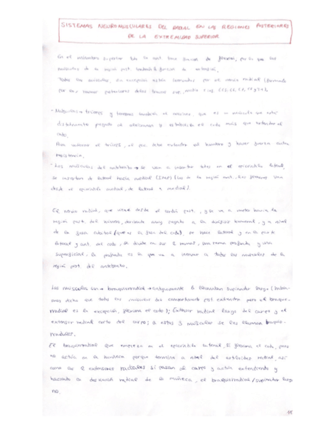Miniatura del documento 12.pdf