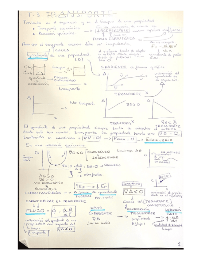 Miniatura del documento t3-t4-t5-fisica.pdf