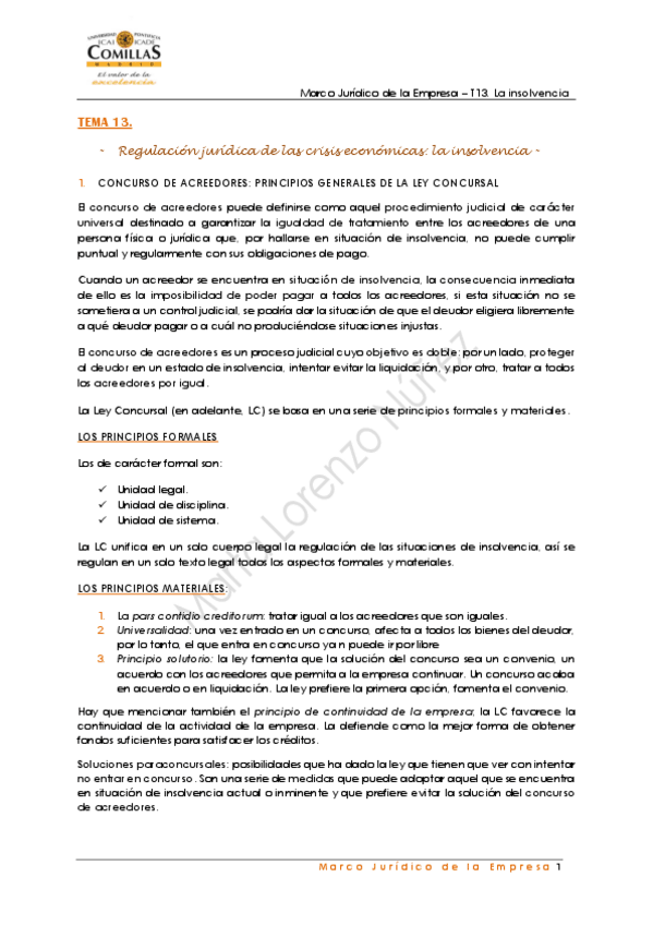 Miniatura del documento TEMA-13.pdf