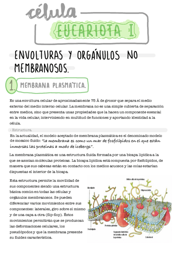 Miniatura del documento Tema-8.pdf