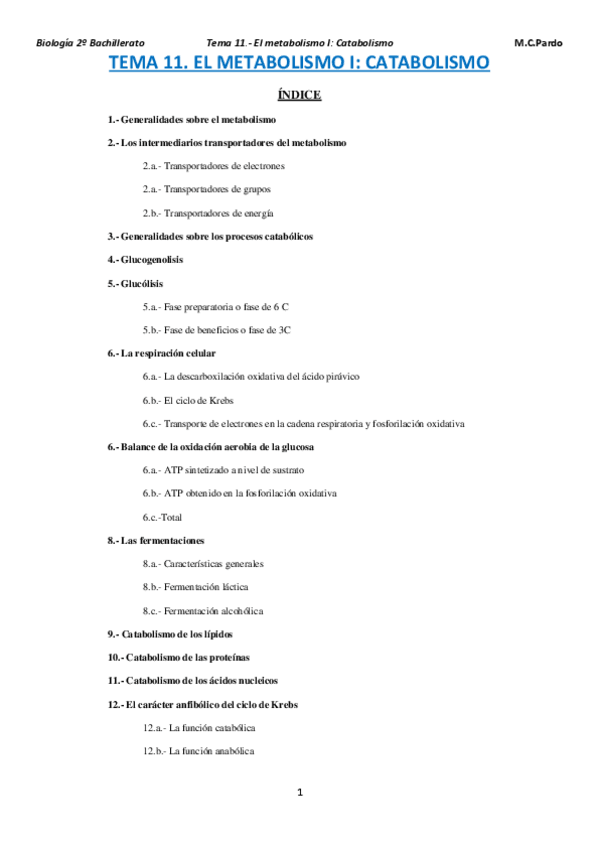 Miniatura del documento TEMA-11-metabolismo-1-catabolismo.pdf