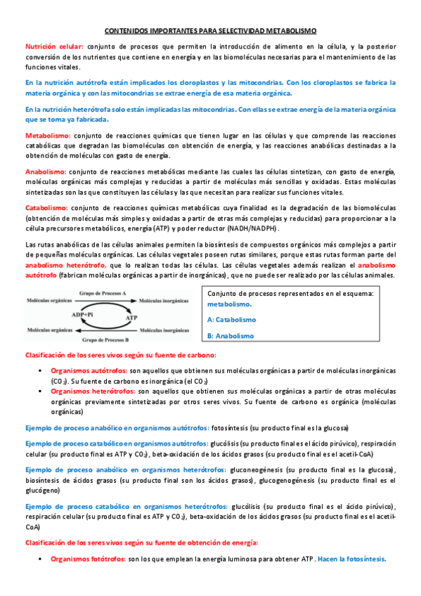 Miniatura del documento CONTENIDOS-IMPORTANTES-PARA-SELECTIVIDAD-METABOLISMO.pdf