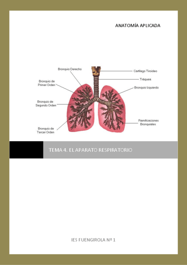 Miniatura del documento El-aparato-respiratorio.pdf