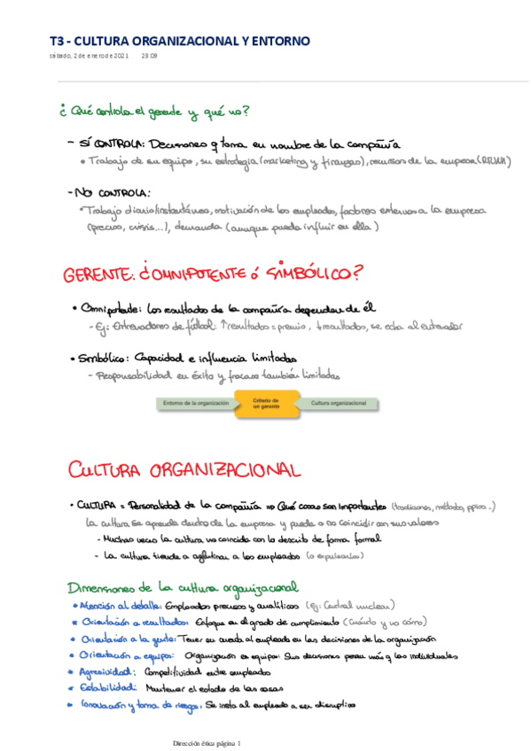 Miniatura del documento T3-CULTURA-ORGANIZACIONAL-Y-ENTORNO.pdf