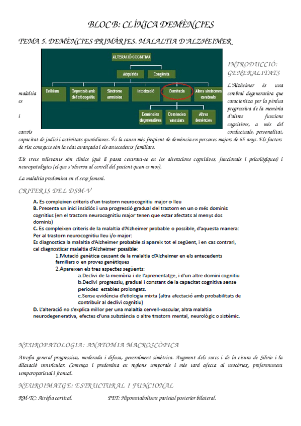 Miniatura del documento BLOC-B-Tema-5.docx