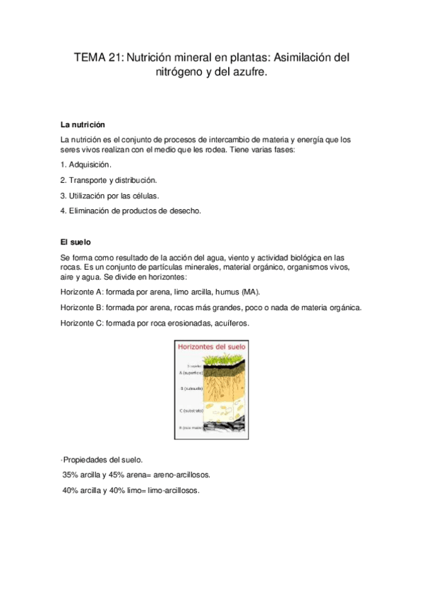 Miniatura del documento TEMA-21.pdf