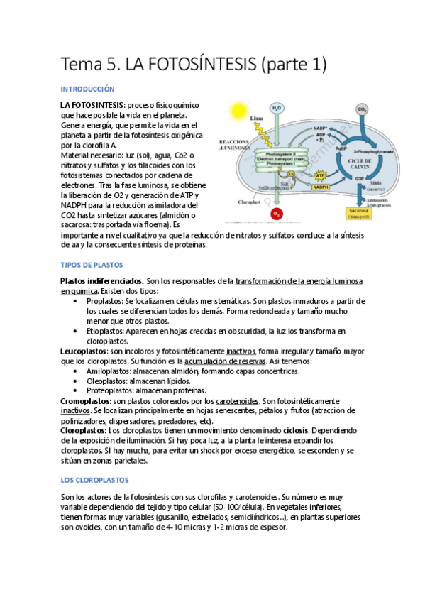 Miniatura del documento Tema-5.pdf