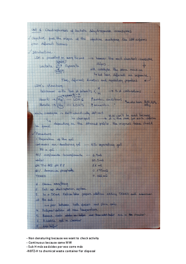 Miniatura del documento U1 - LDH Isoenzyme