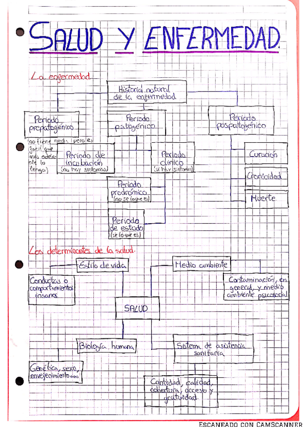 Miniatura del documento TEMA-SALUD-Y-ENFERMEDAD.pdf