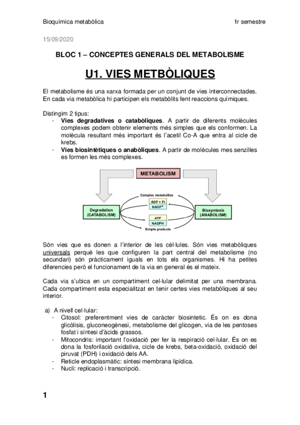 Miniatura del documento Blocs-1-2-BQM.docx