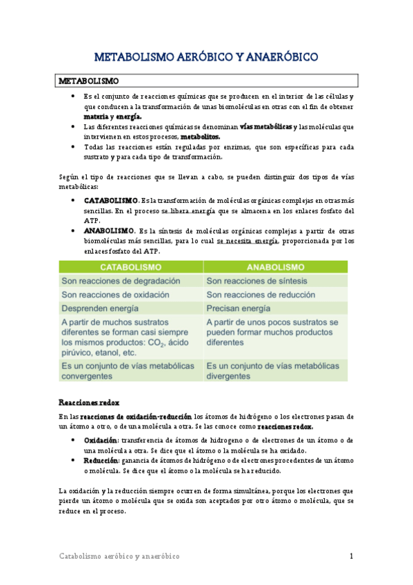 Miniatura del documento TEMA-12-Metabolismo-aerobico-y-anaerobico.pdf