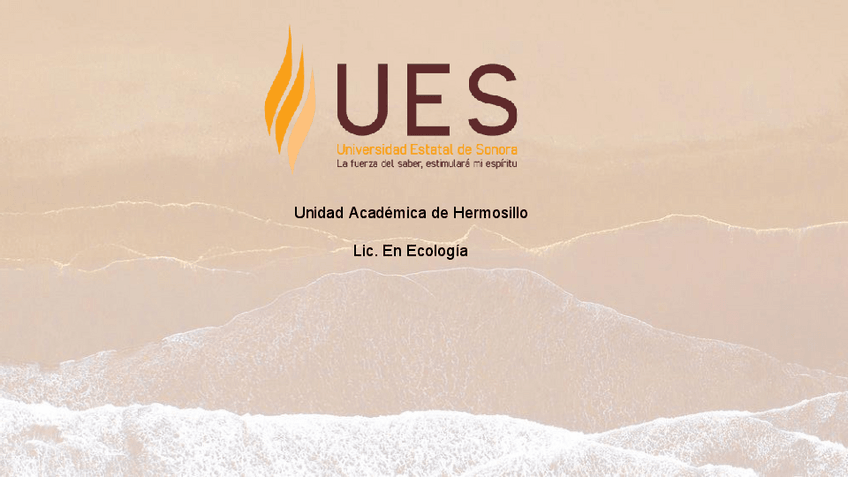 Miniatura del documento Cyperaceae.pdf