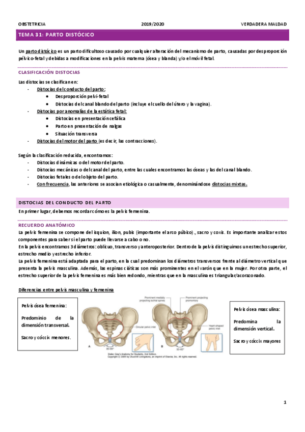 Miniatura del documento tema-31-parto-distocico.pdf