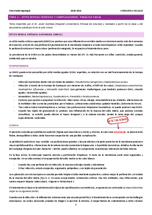 Miniatura del documento TEMA-4-OTITIS-MEDIAS-CRONICAS.pdf