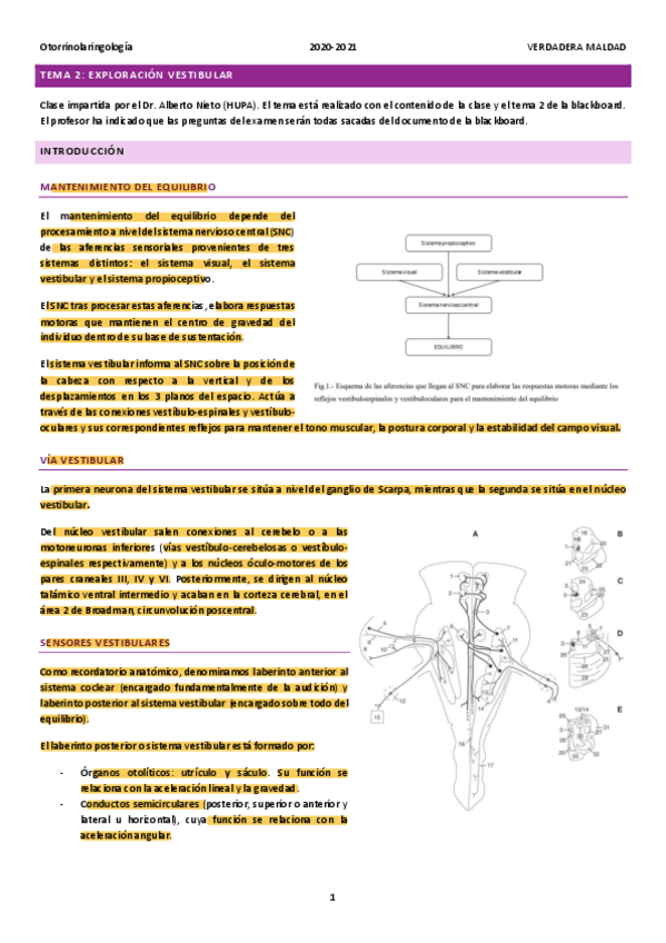 Miniatura del documento TEMA-2-EXPLORACION-VESTIBULAR.pdf