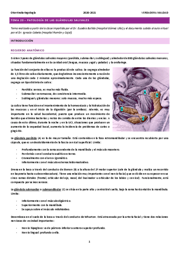 Miniatura del documento TEMA-20-PATOLOGIA-DE-LAS-GLANDULAS-SALIVALES.pdf
