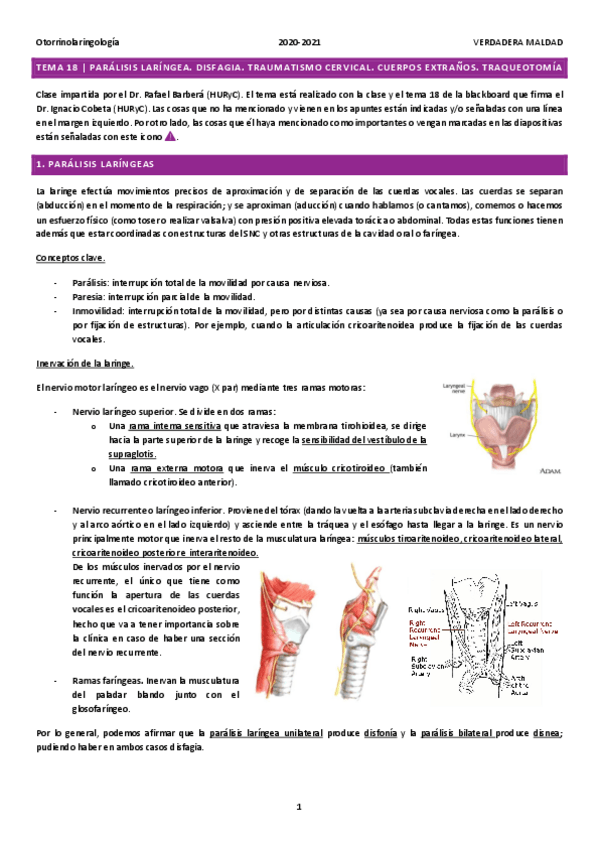 Miniatura del documento Tema-18-PARALISIS-LARINGEA.pdf